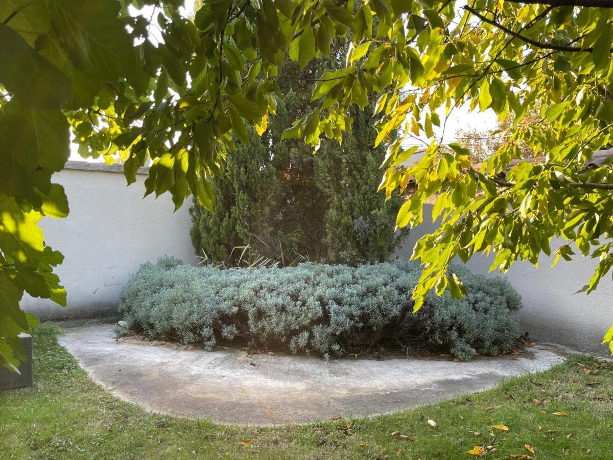 Studio Les Petits Lutins Entraigues-sur-la-Sorgue Esterno foto