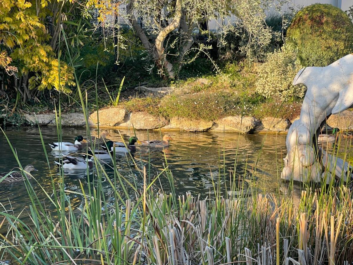 Studio Les Petits Lutins Entraigues-sur-la-Sorgue Esterno foto